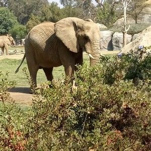 Meet your Posher, Rita